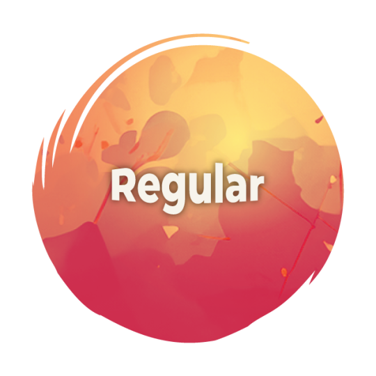 REGULAR BIRD PASS